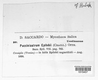 Image Associated With the Occurence